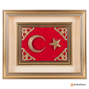 GÖKTÜRK AYYILDIZ KABARTMALI TABLO - Görsel 1